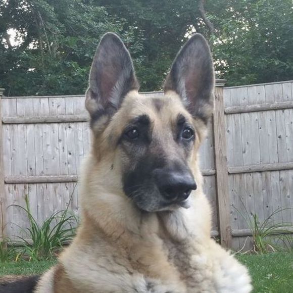 Meet your Posher, Nichole - Picture 1 of 1